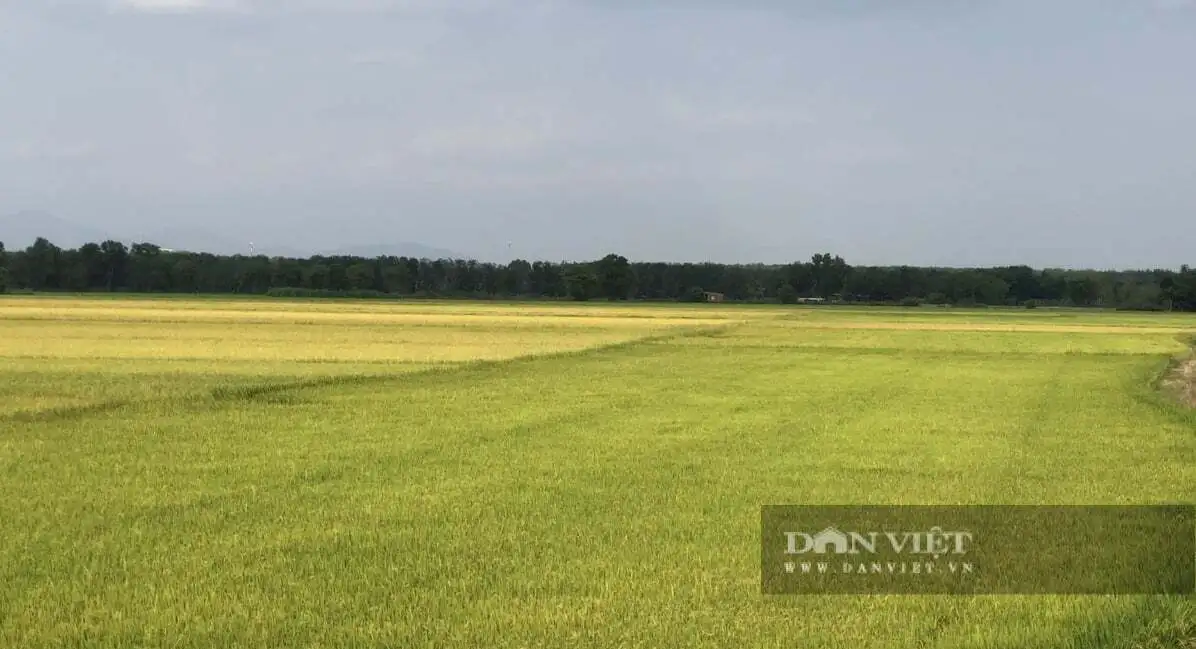 Nông thôn mới ở một xã tỉnh Lâm Đồng đến năm 2030 thu nhập đầu người trên 110 triệu đồng/năm