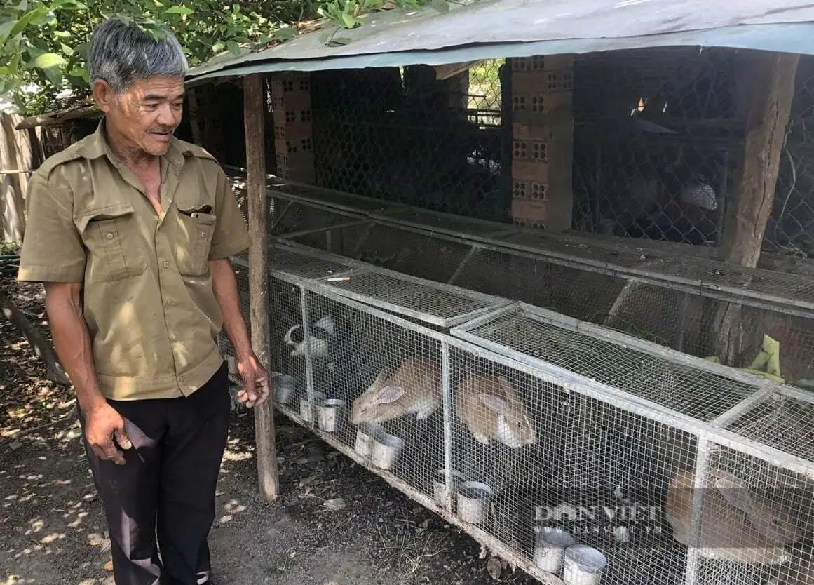 Nông thôn mới ở một xã tỉnh Lâm Đồng đến năm 2030 thu nhập đầu người trên 110 triệu đồng/năm