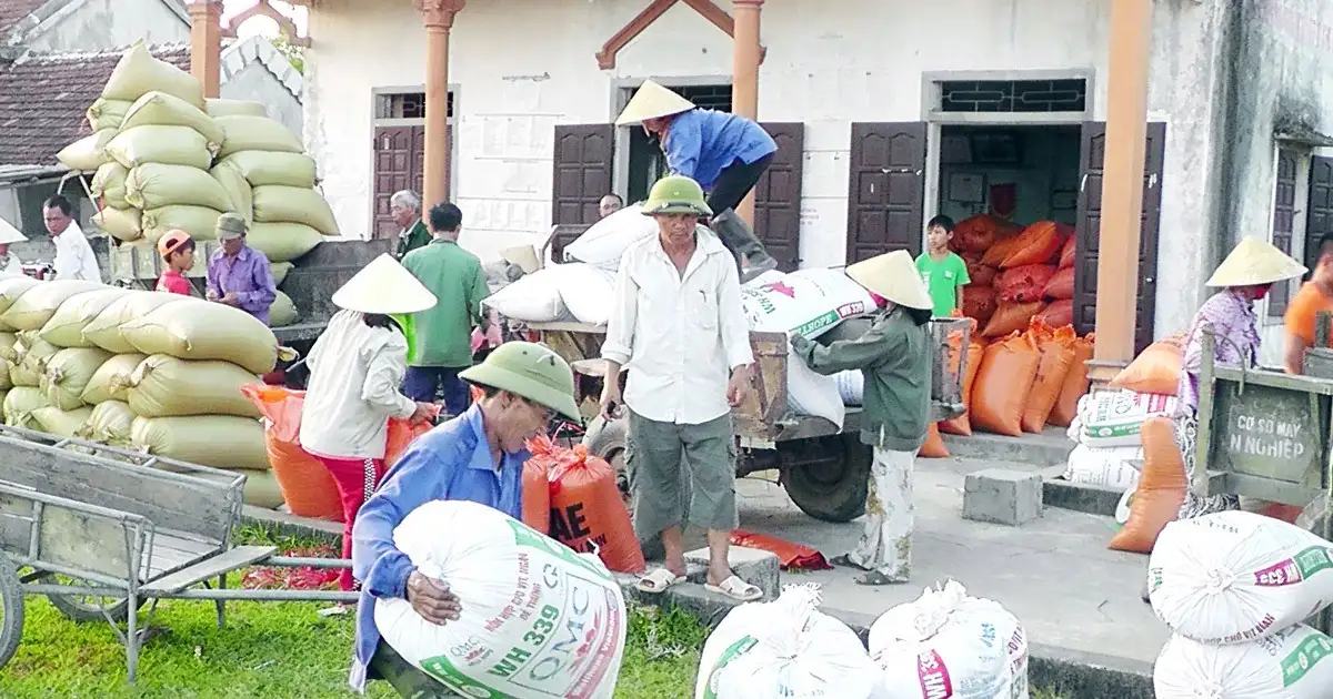 Nghệ An: 06 năm triển khai chính sách hỗ trợ liên kết sản xuất – Lan tỏa mô hình hợp tác, thúc đẩy nông nghiệp hàng hóa, động lực quan trọng trong thực hiện cơ cấu lại ngành nông nghiệp và xây dựng nông thôn mới.