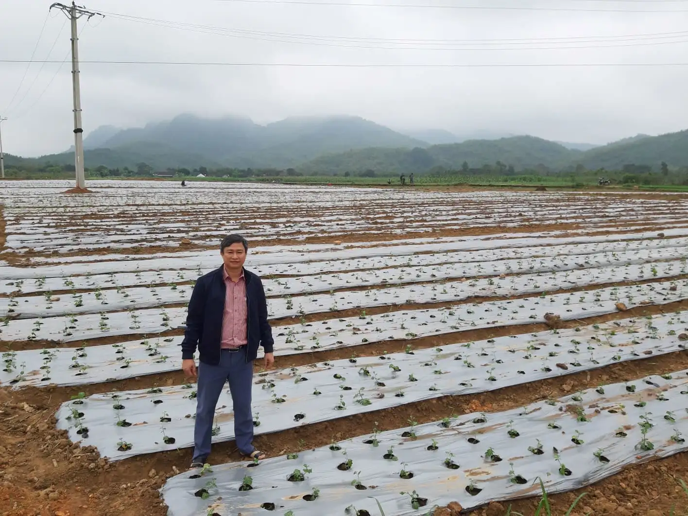 Nghệ An: 06 năm triển khai chính sách hỗ trợ liên kết sản xuất – Lan tỏa mô hình hợp tác, thúc đẩy nông nghiệp hàng hóa, động lực quan trọng trong thực hiện cơ cấu lại ngành nông nghiệp và xây dựng nông thôn mới.