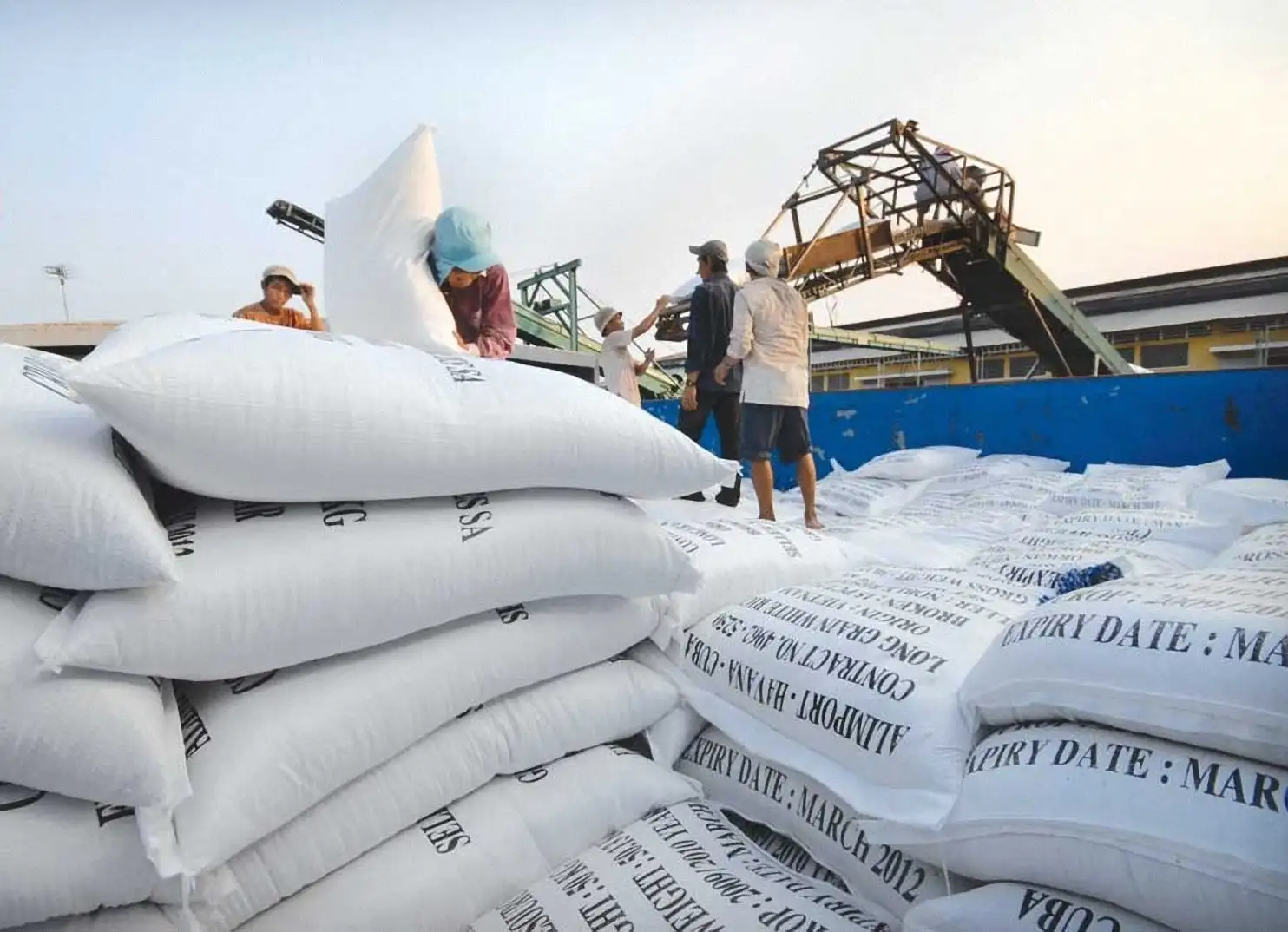 Nước mua nhiều nhất gạo của Việt Nam đang có kế hoạch mới về lúa gạo, tàu chở gạo Việt Nam chuyển hướng bán ở đâu?
