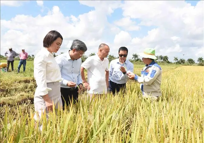Nuôi bò ở Nga, trồng lúa ở Cuba, doanh nhân Việt xuất hiện trong bài phát biểu của Tổng Bí thư Tô Lâm trước nông dân