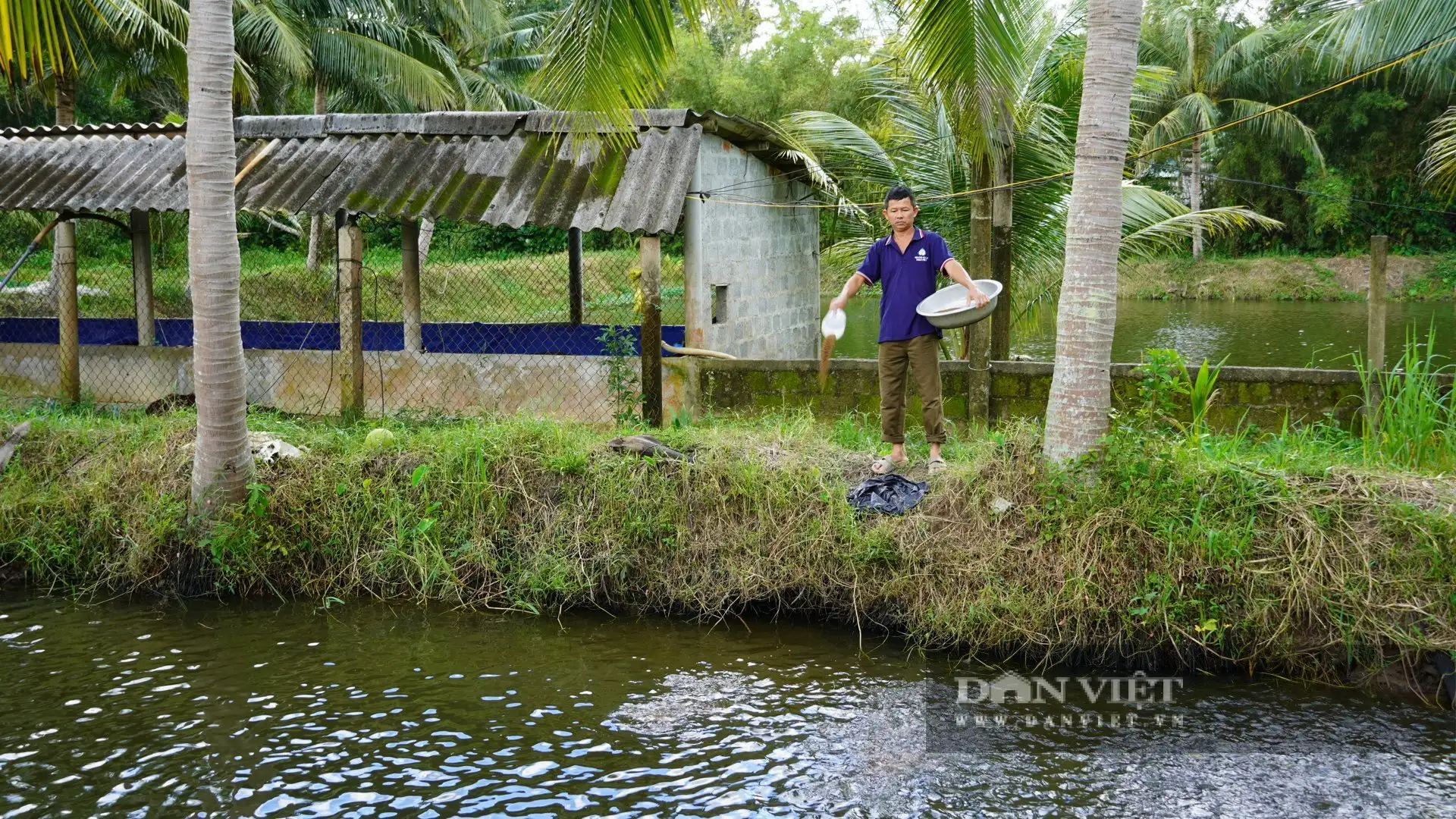 Nuôi cá giống kiểu gì mà một anh nông dân Quảng Trị có thu nhập cao?