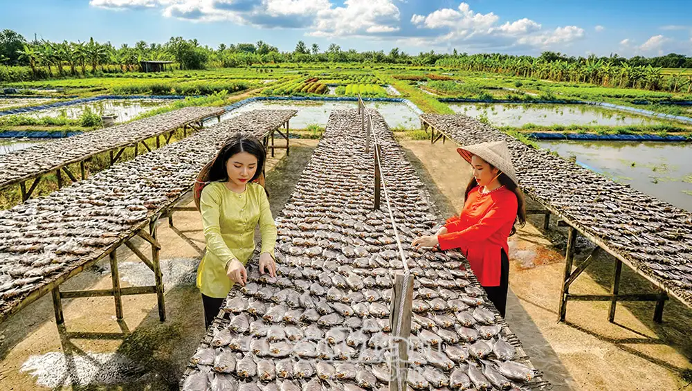 OCOP đưa nông sản vươn xa