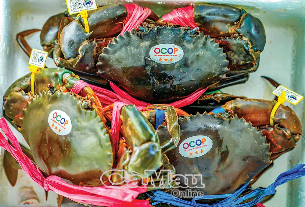 OCOP đưa nông sản vươn xa