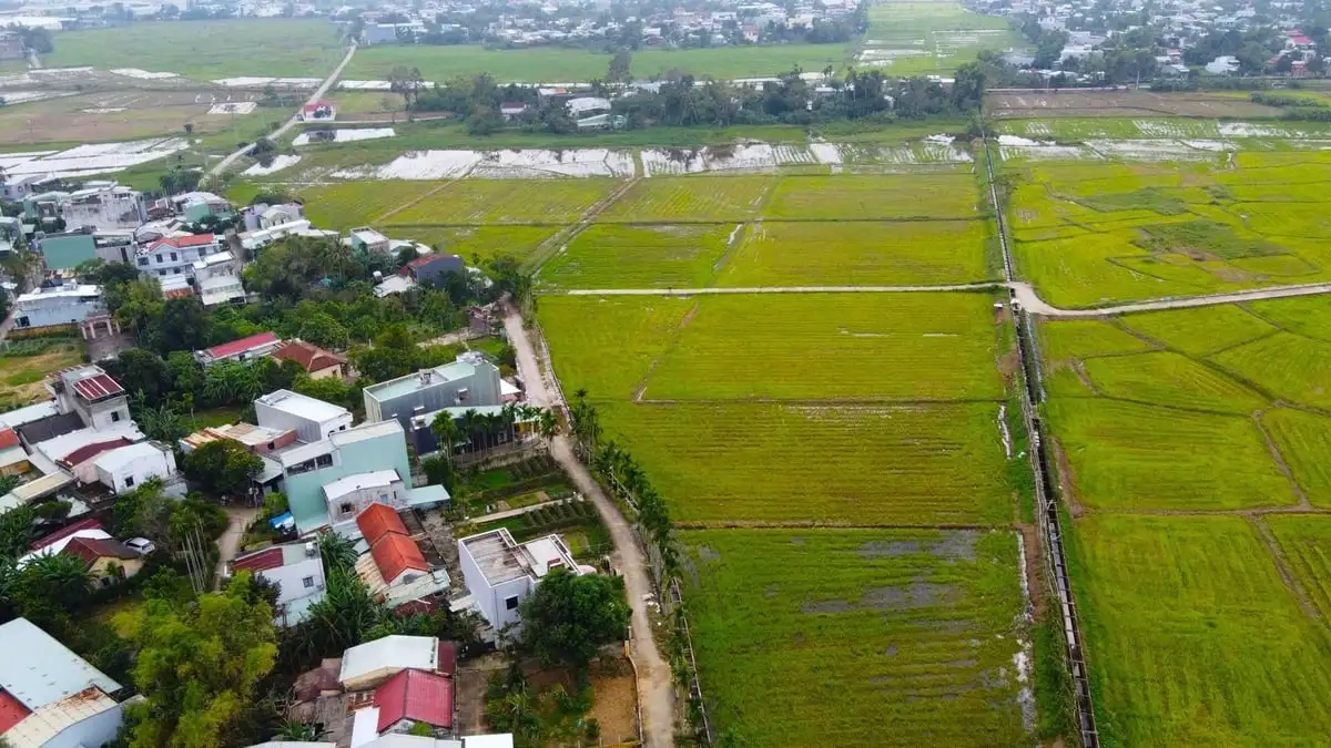 Phát triển kinh tế tập thể gắn với xây dựng nông thôn mới