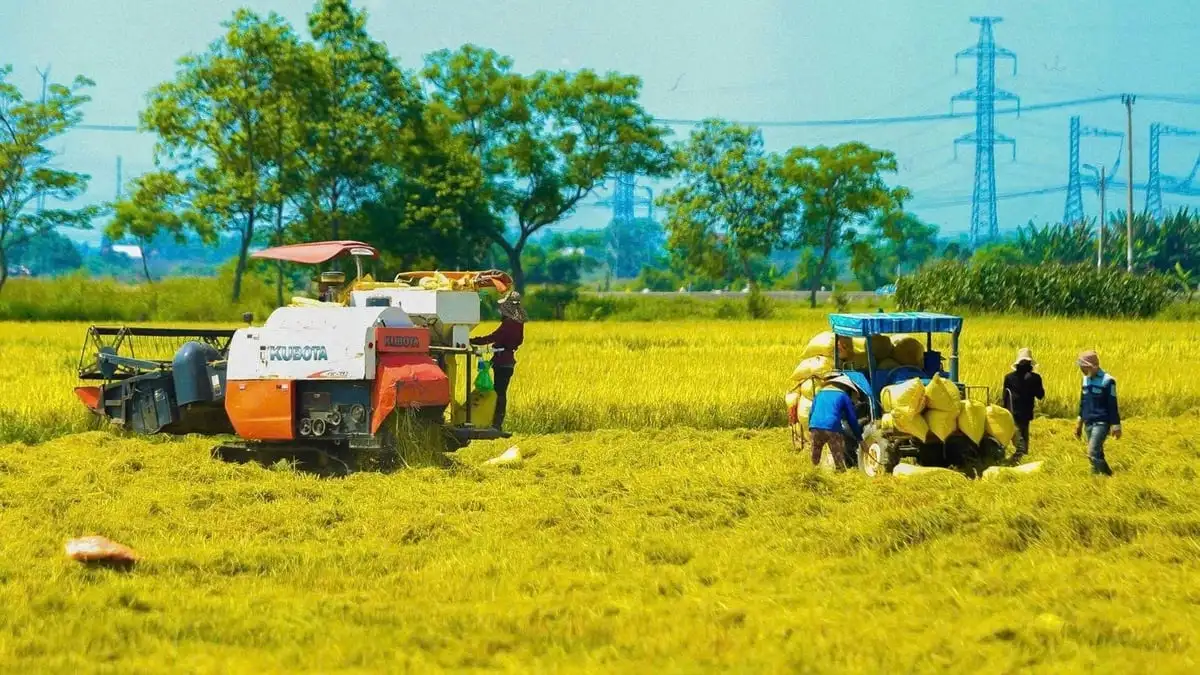 Phát triển kinh tế tập thể gắn với xây dựng nông thôn mới