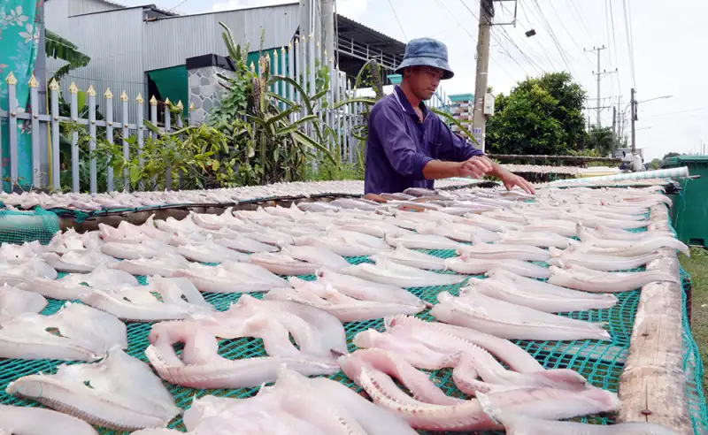 Phát triển làng nghề gắn với sinh kế của người dân