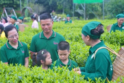 Phát triển sản phẩm nông nghiệp gắn với lợi thế địa phương
