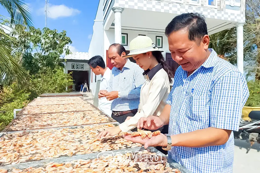 Phát triển sản phẩm OCOP: Bước đột phá cho hợp tác xã