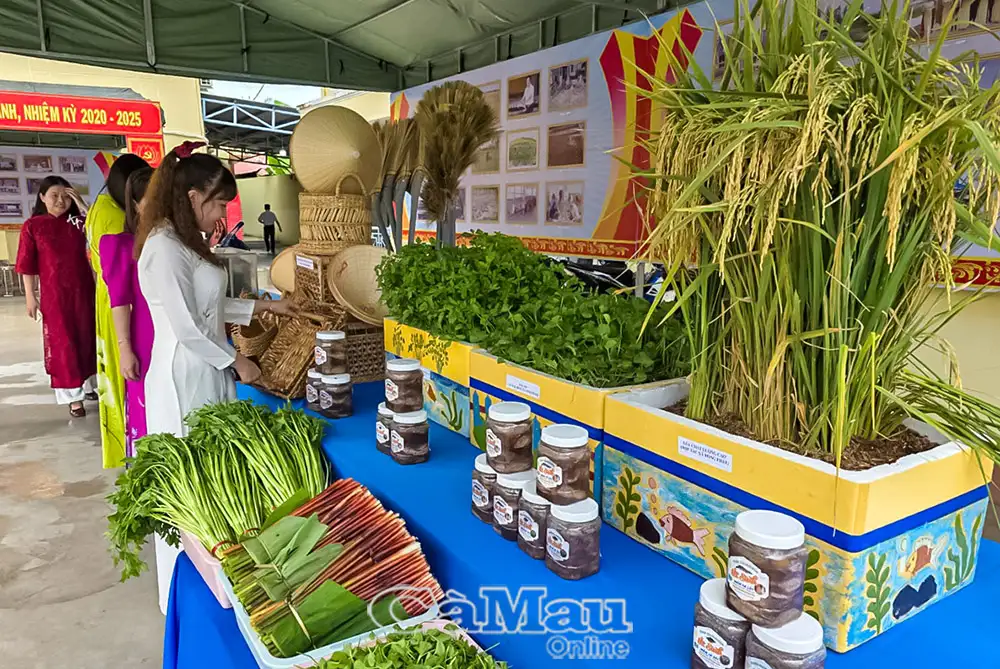 Phát triển sản phẩm OCOP: Bước đột phá cho hợp tác xã