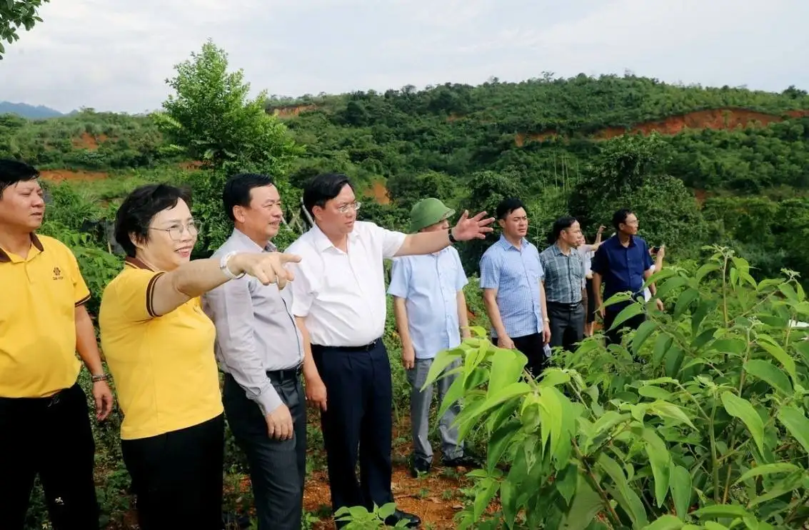 Phú Thọ hướng tới nông thôn mới hiện đại, bền vững và giàu bản sắc