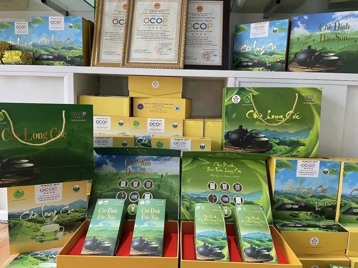 Phú Thọ hướng tới nông thôn mới hiện đại, bền vững và giàu bản sắc