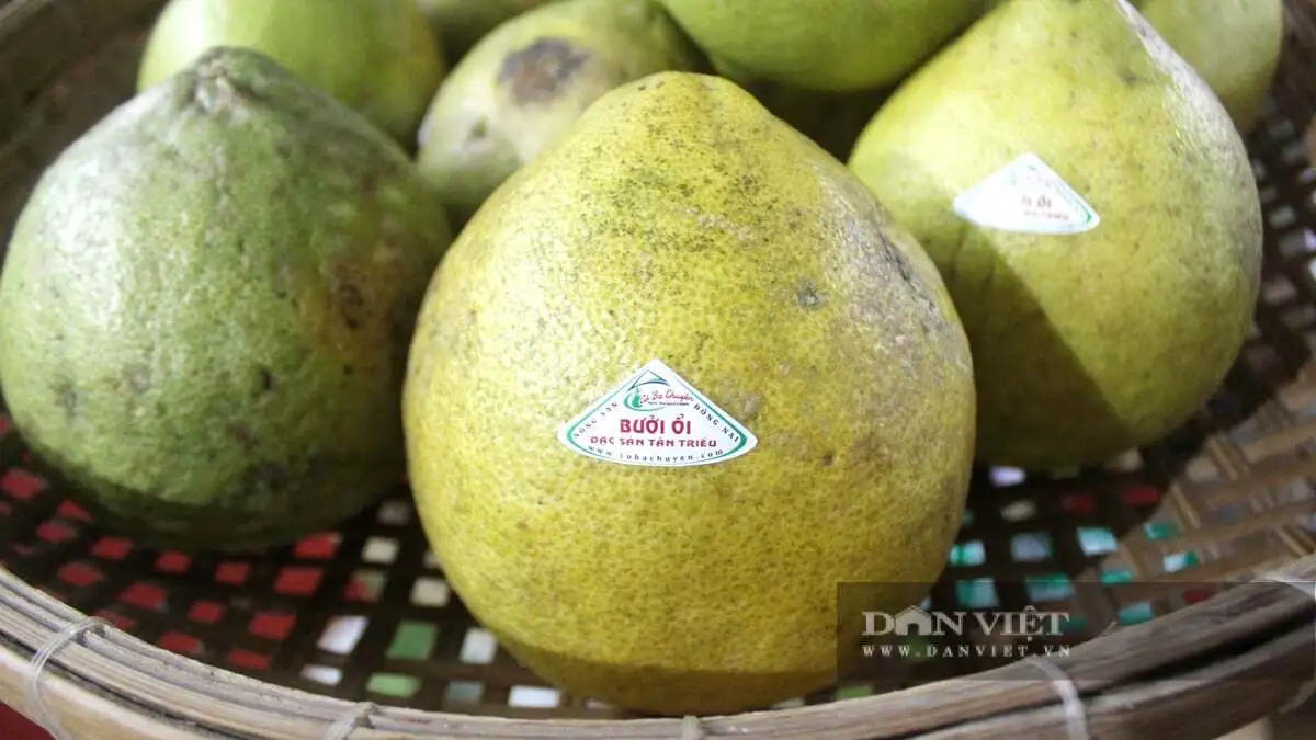 Quá trời đặc sản, sản phẩm nông nghiệp an toàn tại triển lãm thành tựu nông nghiệp tỉnh Đồng Nai