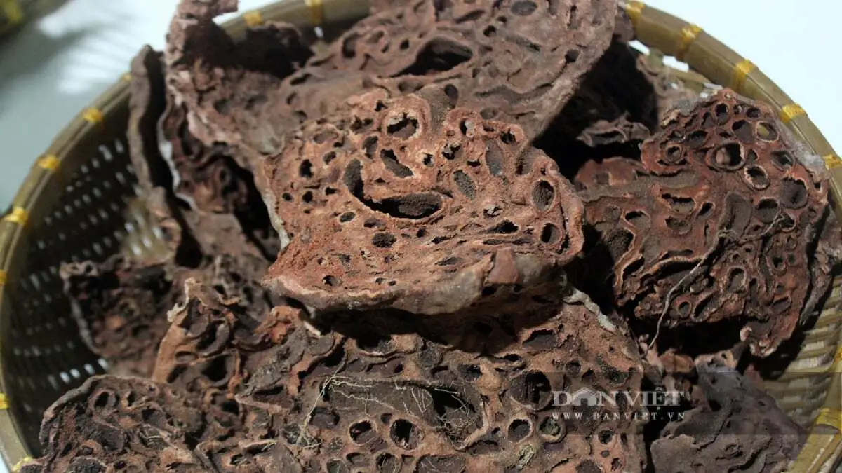 Quá trời đặc sản, sản phẩm nông nghiệp an toàn tại triển lãm thành tựu nông nghiệp tỉnh Đồng Nai