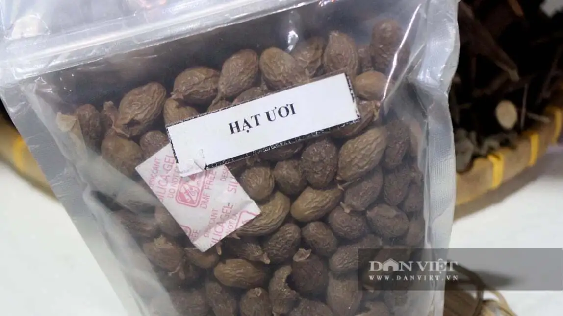 Quá trời đặc sản, sản phẩm nông nghiệp an toàn tại triển lãm thành tựu nông nghiệp tỉnh Đồng Nai