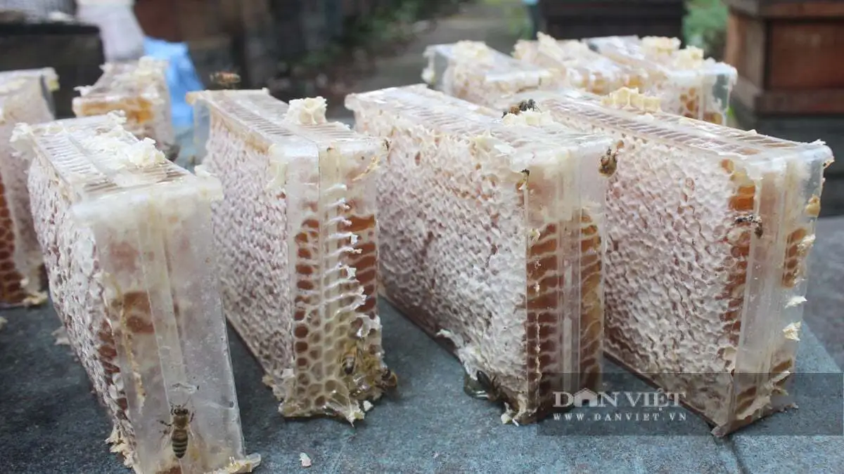 Quá trời đặc sản, sản phẩm nông nghiệp an toàn tại triển lãm thành tựu nông nghiệp tỉnh Đồng Nai