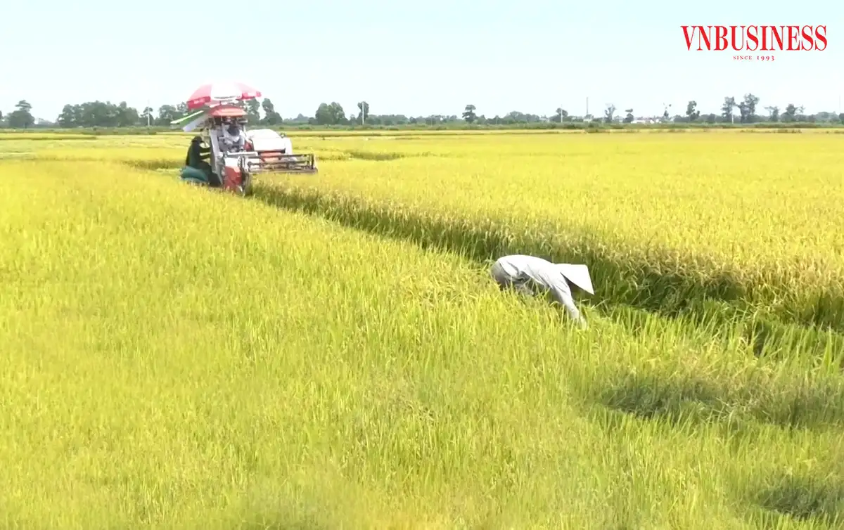 Quảng Trị hướng tới nông nghiệp xanh, nông thôn giàu mạnh với những mô hình khởi nghiệp bạc tỷ