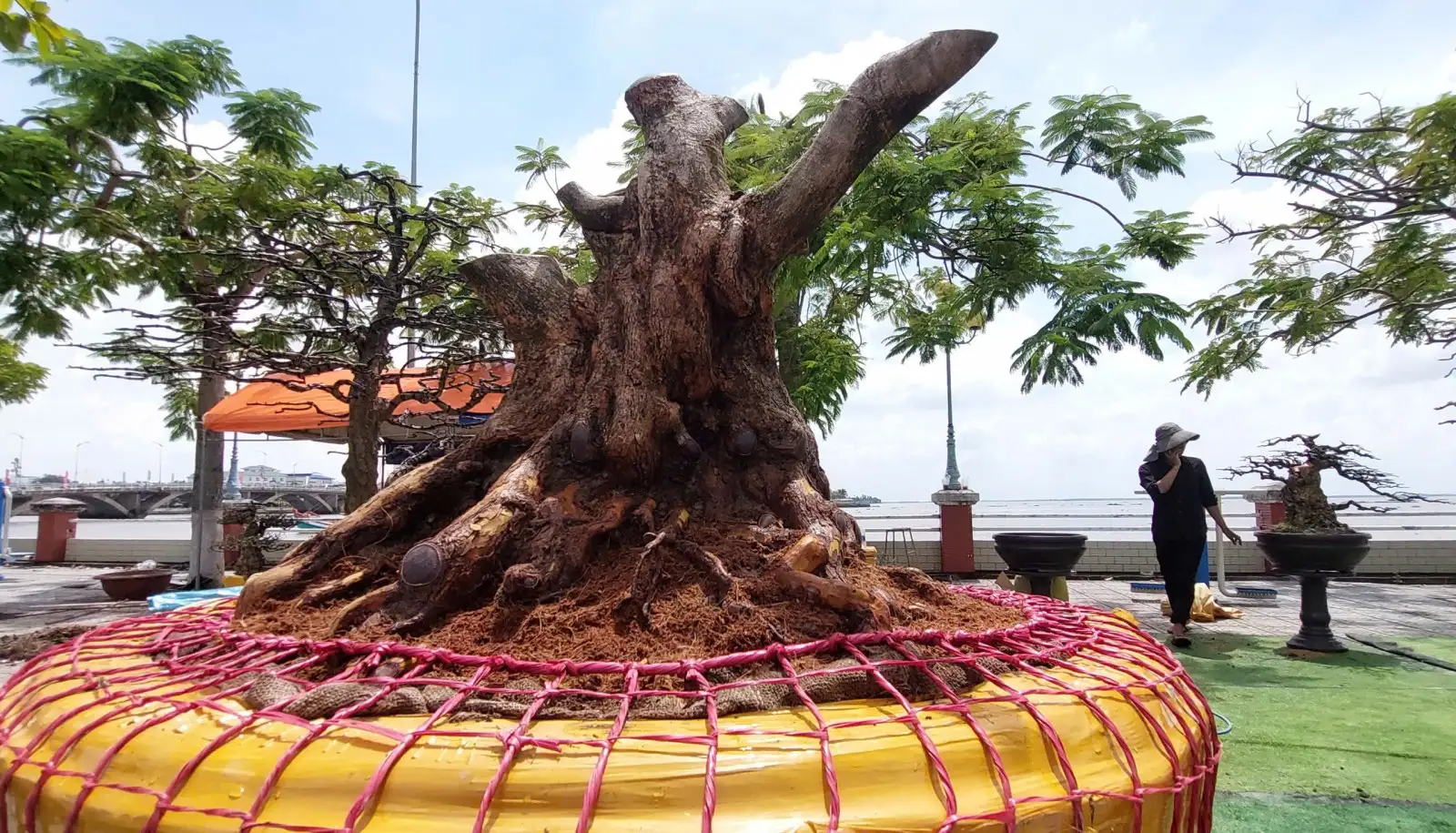 Rộn ràng Hội chợ Thương mại, trưng bày sản phẩm OCOP, du lịch của An Giang