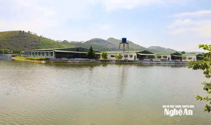 Sức bật từ phong trào nông dân Nghệ An thi đua sản xuất, kinh doanh giỏi