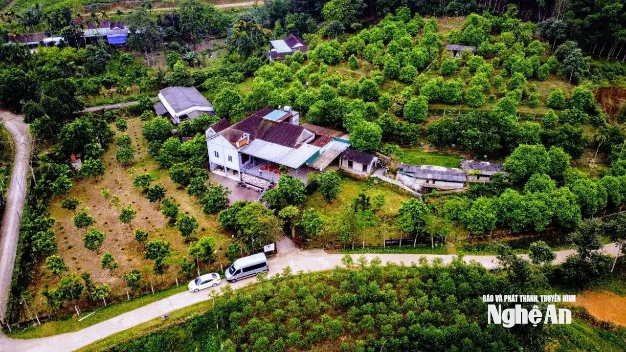 Sức bật từ phong trào nông dân Nghệ An thi đua sản xuất, kinh doanh giỏi