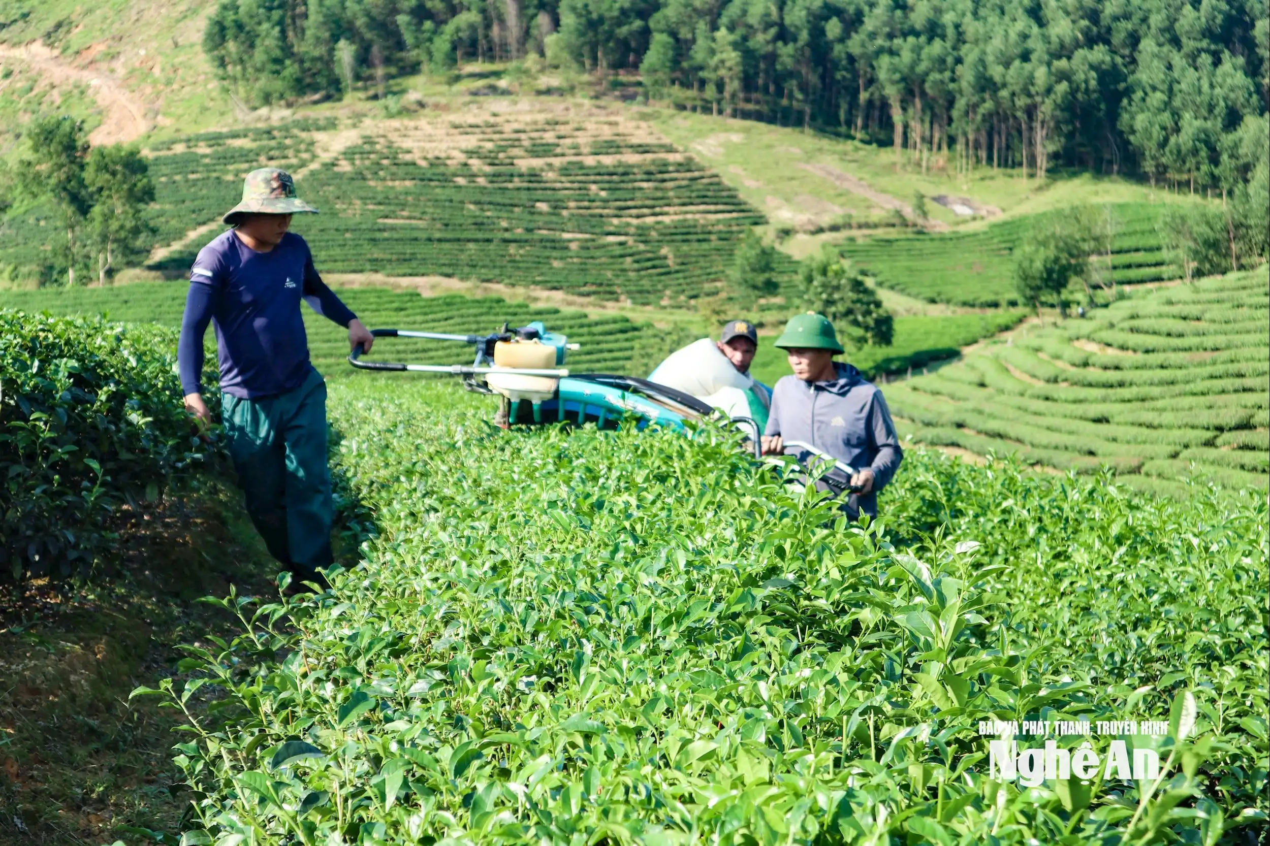 Sức bật từ phong trào nông dân Nghệ An thi đua sản xuất, kinh doanh giỏi