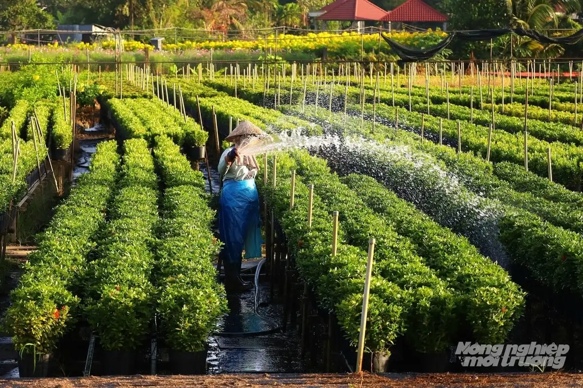Tái cơ cấu ngành hoa kiểng để kết nối sản phẩm OCOP và du lịch xanh