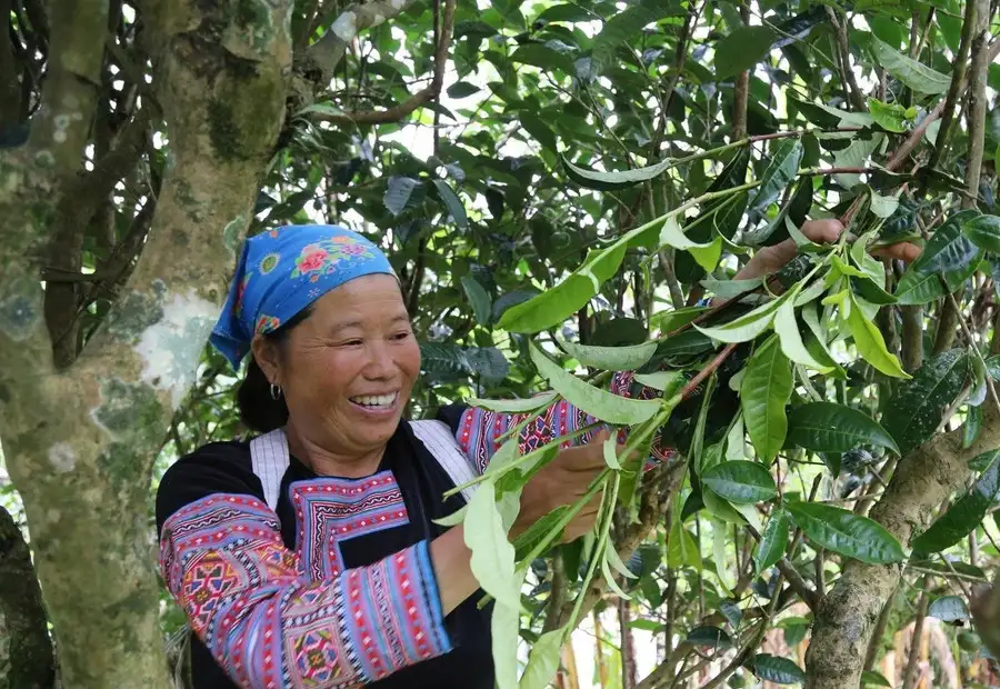 Tận dụng di sản thiên nhiên phát triển kinh tế bền vững