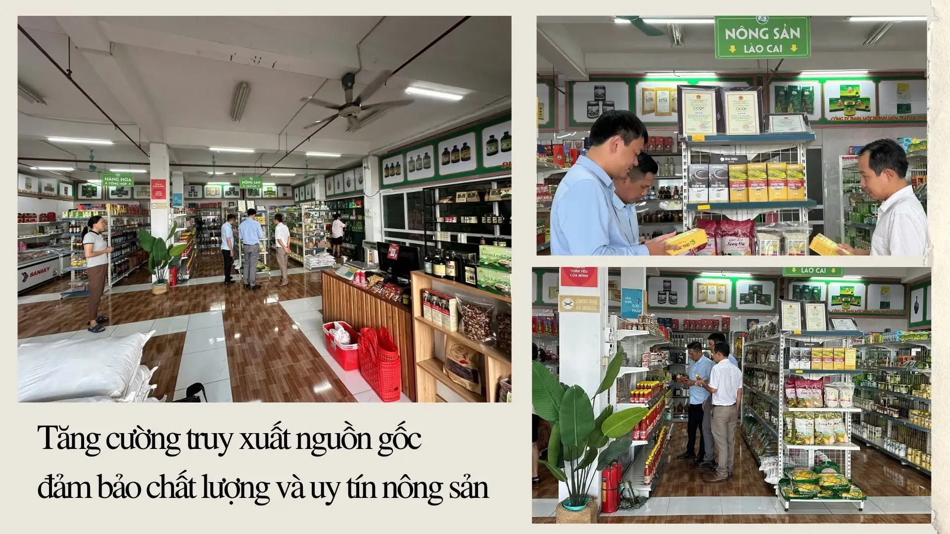 Tăng cường truy xuất nguồn gốc đảm bảo chất lượng và uy tín nông sản