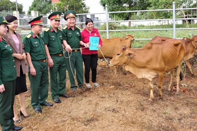 Tập trung tháo gỡ khó khăn, nâng cao hiệu quả triển khai các Chương trình mục tiêu quốc gia