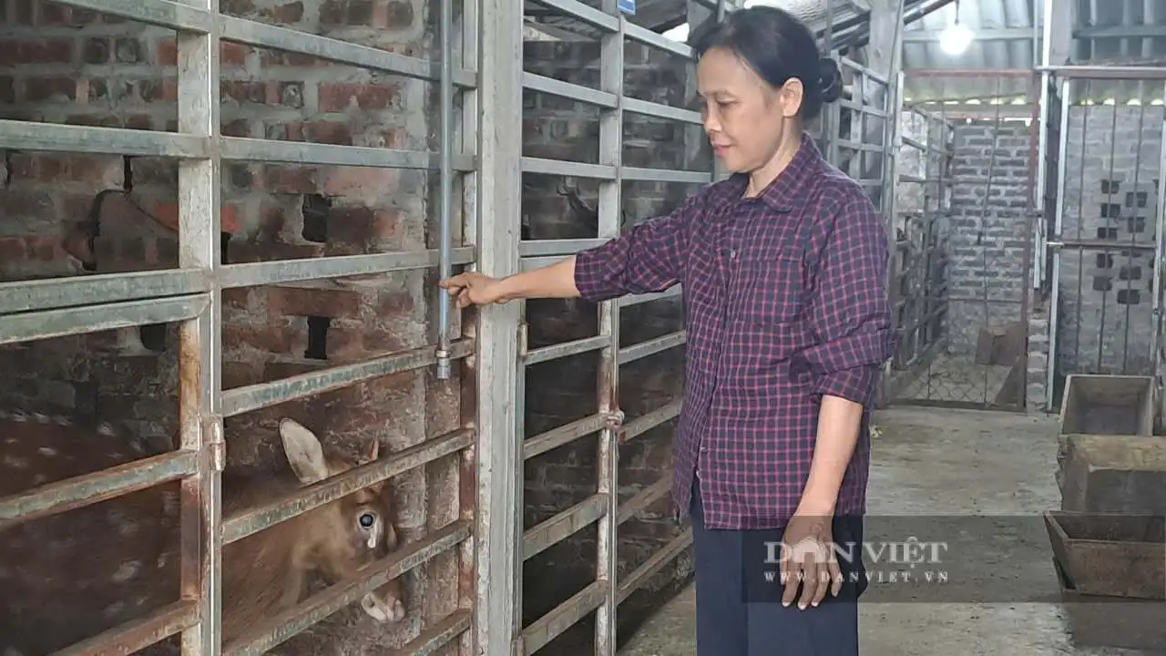 Thái Nguyên: Tạo bứt phá từ các chương trình mục tiêu quốc gia