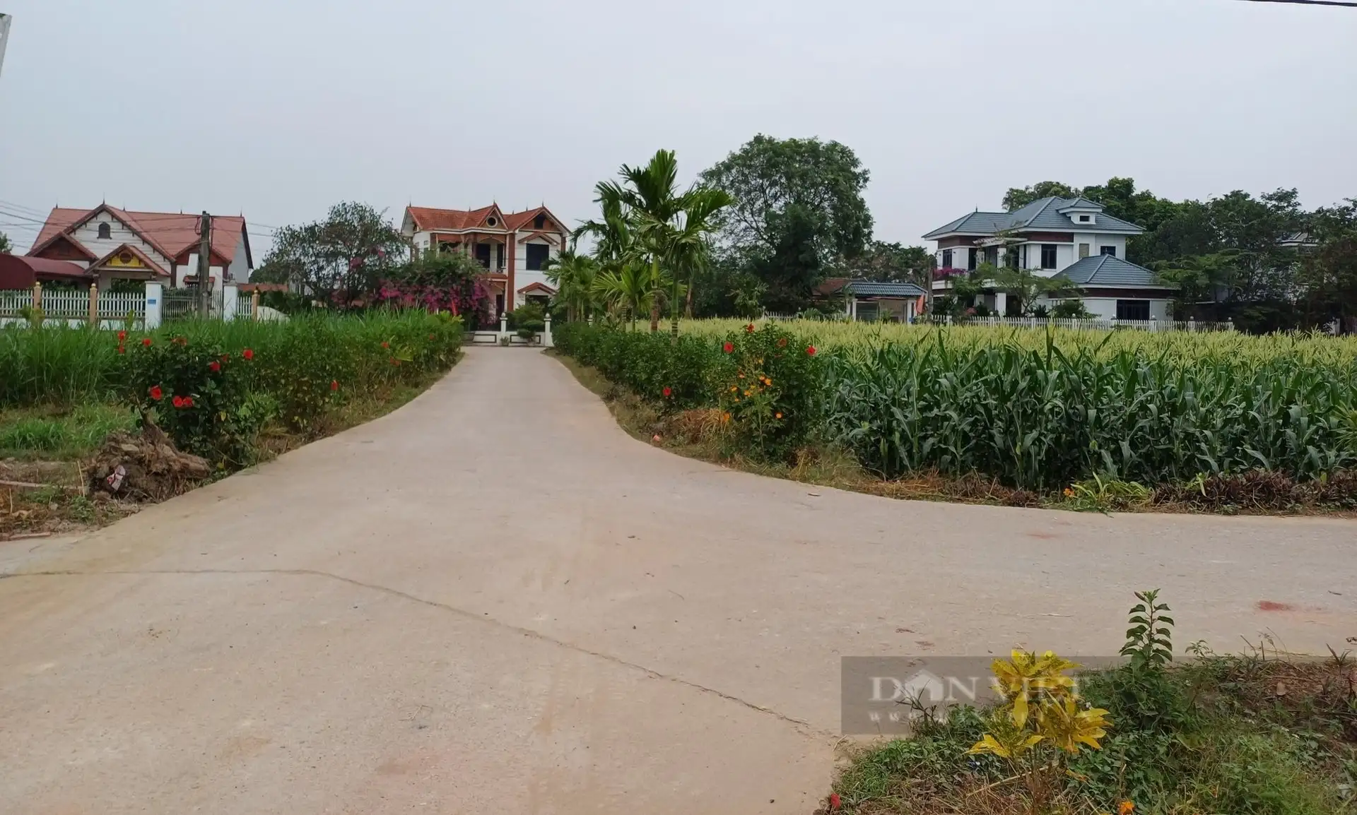 Thái Nguyên: Tạo bứt phá từ các chương trình mục tiêu quốc gia