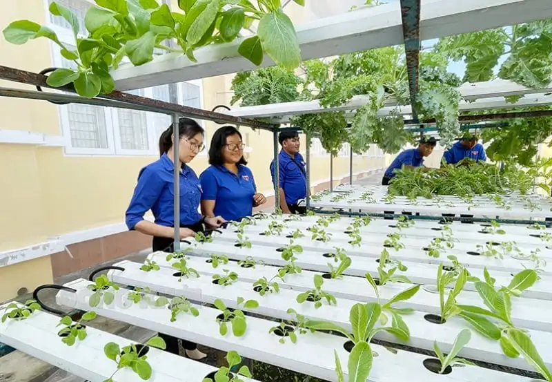 Thanh niên Điện Biên lan tỏa mô hình nông nghiệp xanh