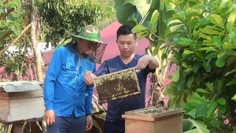 Thanh niên Điện Biên lan tỏa mô hình nông nghiệp xanh