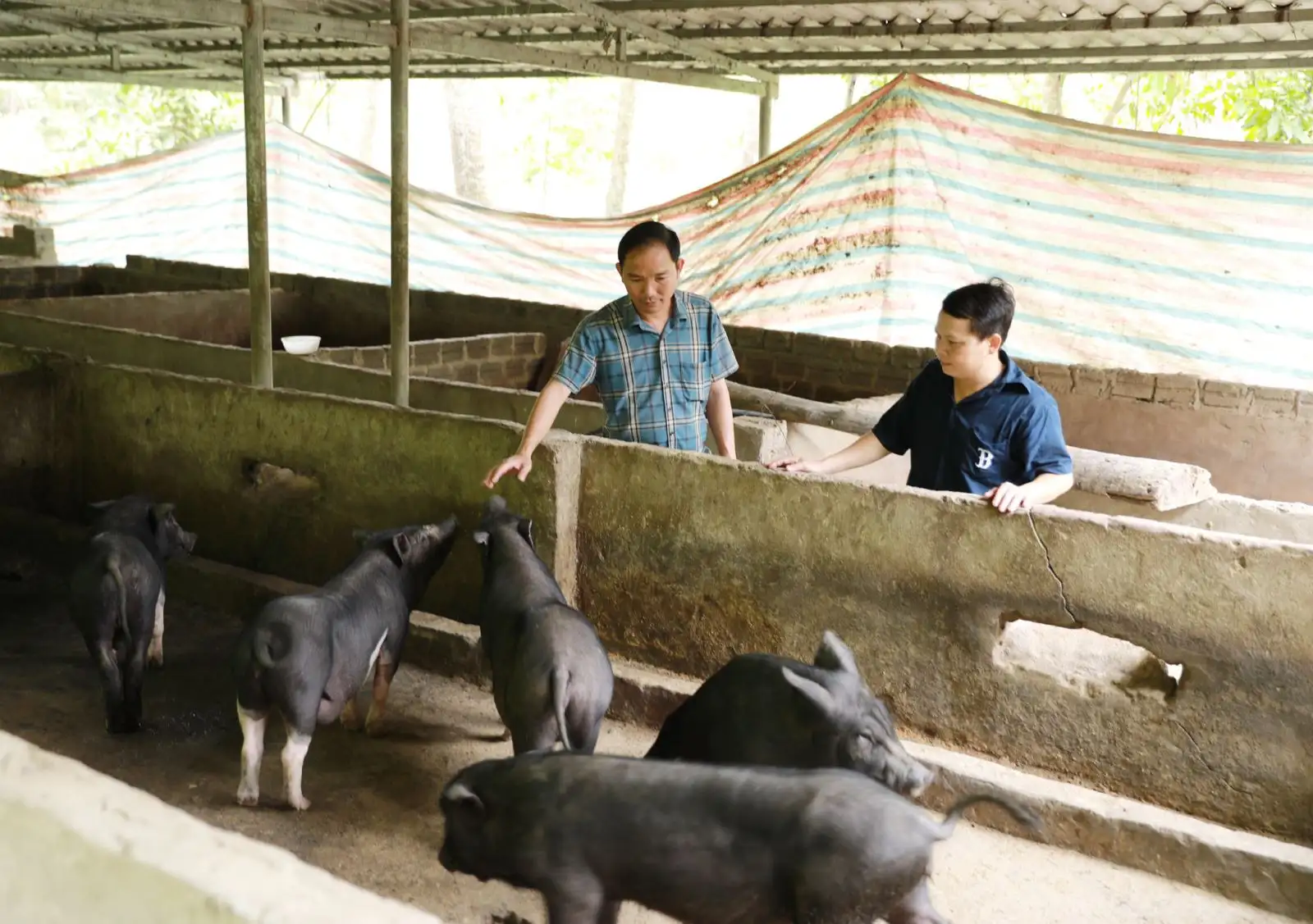 Thoát nghèo nhờ nguồn lực hỗ trợ từ các Chương trình mục tiêu quốc gia