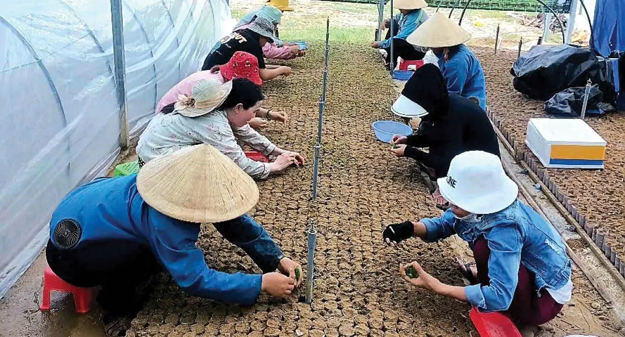 Thúc đẩy phát triển kinh tế xanh