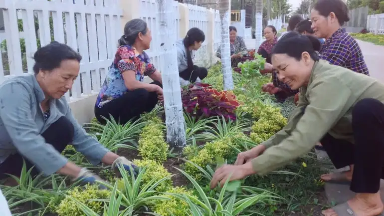 Thúc đẩy xây dựng nông thôn mới hiện đại, phát triển bền vững