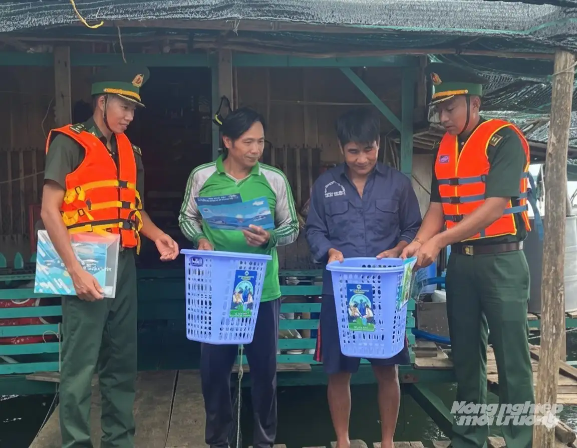 Tiên Hải trồng cây xanh, tuyên truyền bảo vệ rừng, môi trường biển
