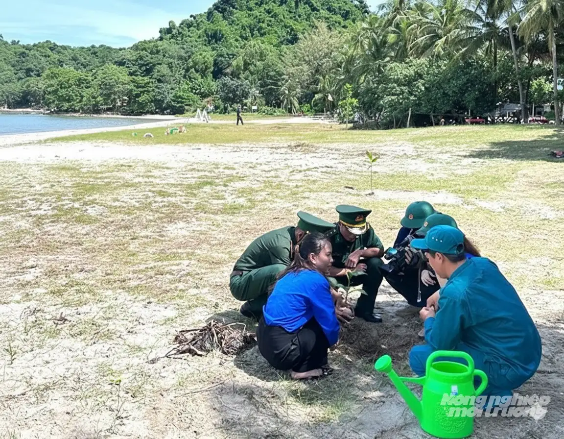 Tiên Hải trồng cây xanh, tuyên truyền bảo vệ rừng, môi trường biển