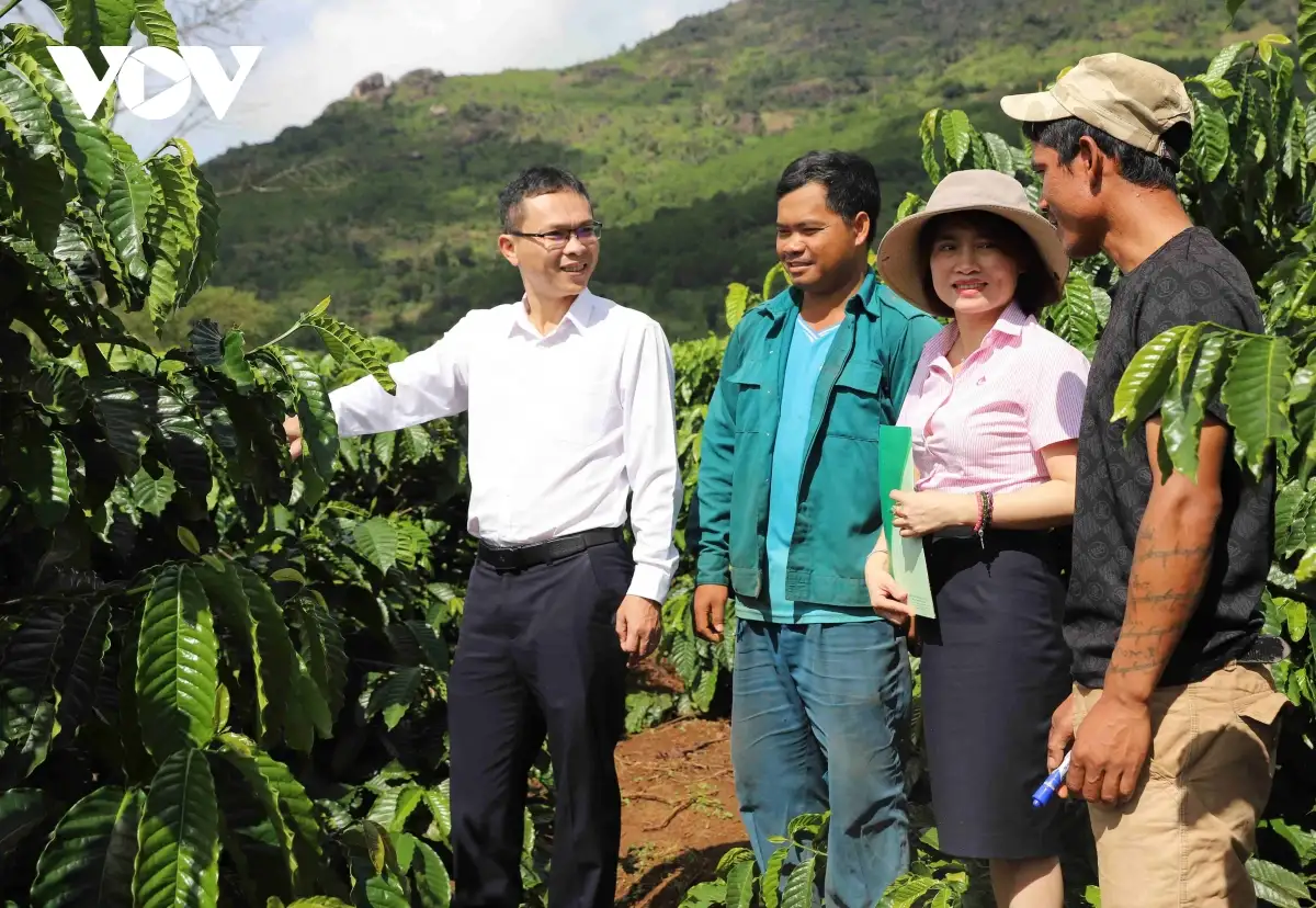 Tín dụng chính sách, “đòn bẩy” thoát nghèo của người dân Gia Lai