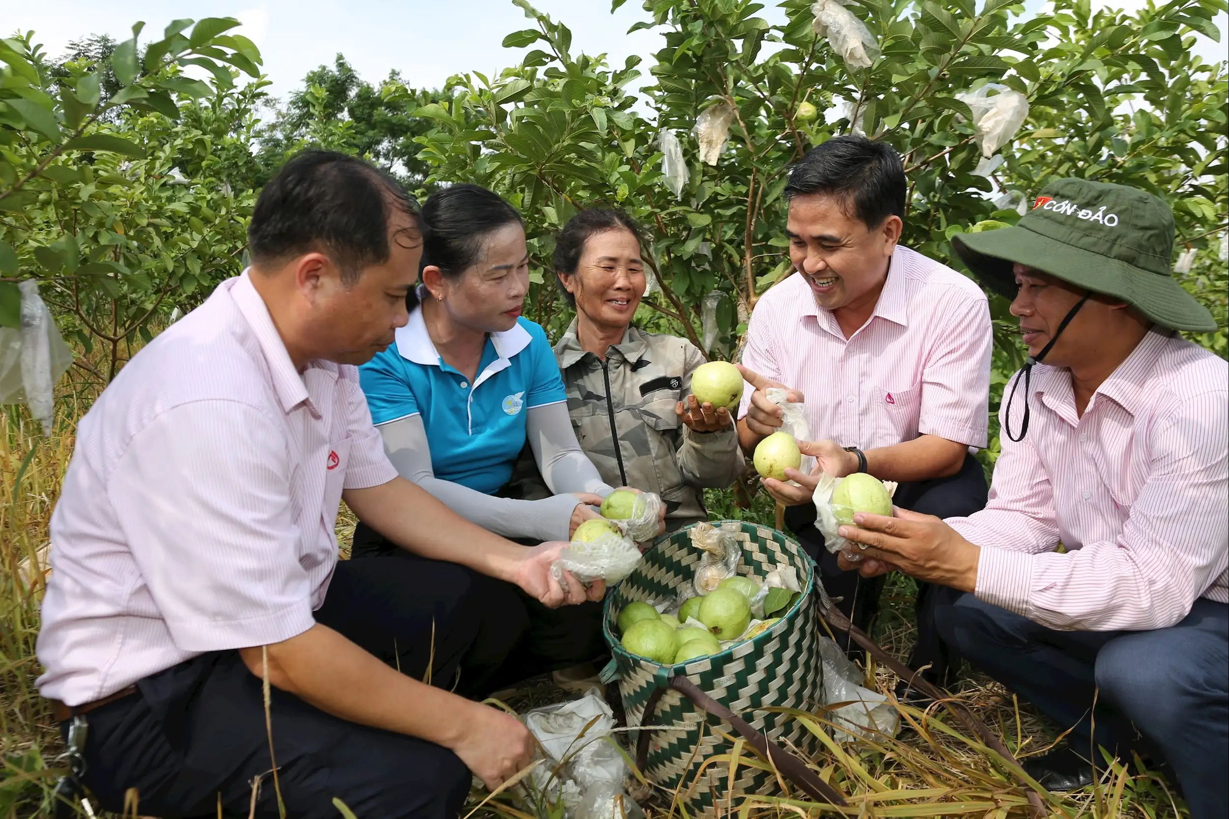 Tín dụng chính sách với phát triển kinh tế hộ ở Nghệ An:Thêm sức mạnh từ Nghị quyết 68