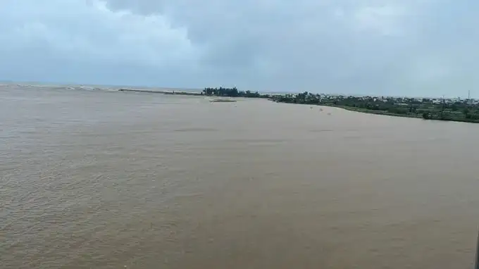 Tin mới nhất từ Lý Sơn, Quảng Ngãi, dân quân giúp dân nhổ hành tím chạy bão số 12, cơn bão FENGSENG đi vào biển Đông