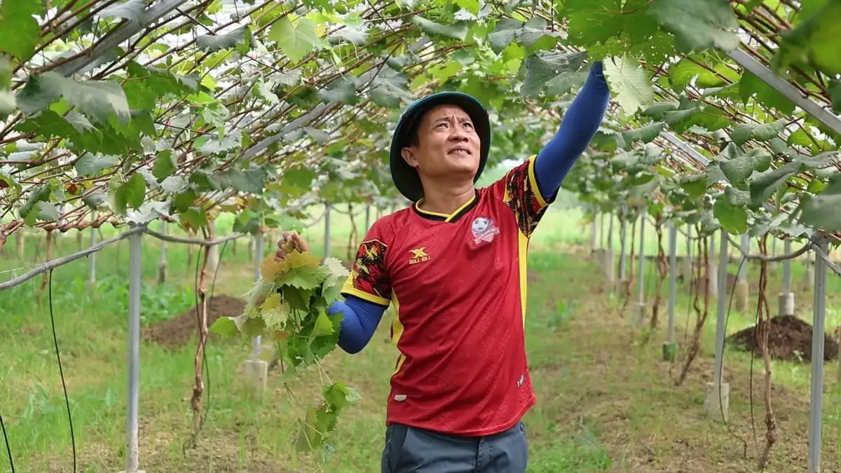 &#8216;Trái ngọt&#8217; từ tích tụ đất đai ở Thiệu Hóa