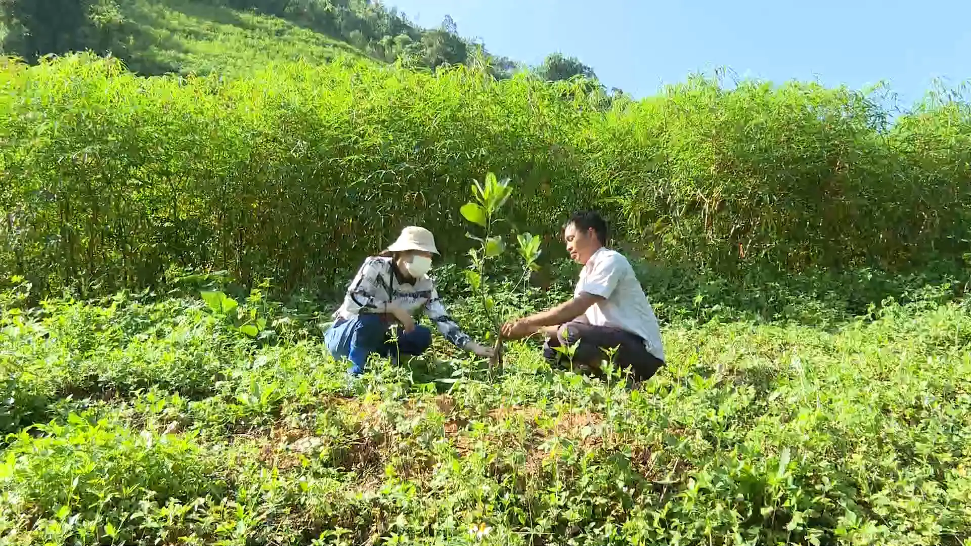 Trao sinh kế để giảm nghèo bền vững