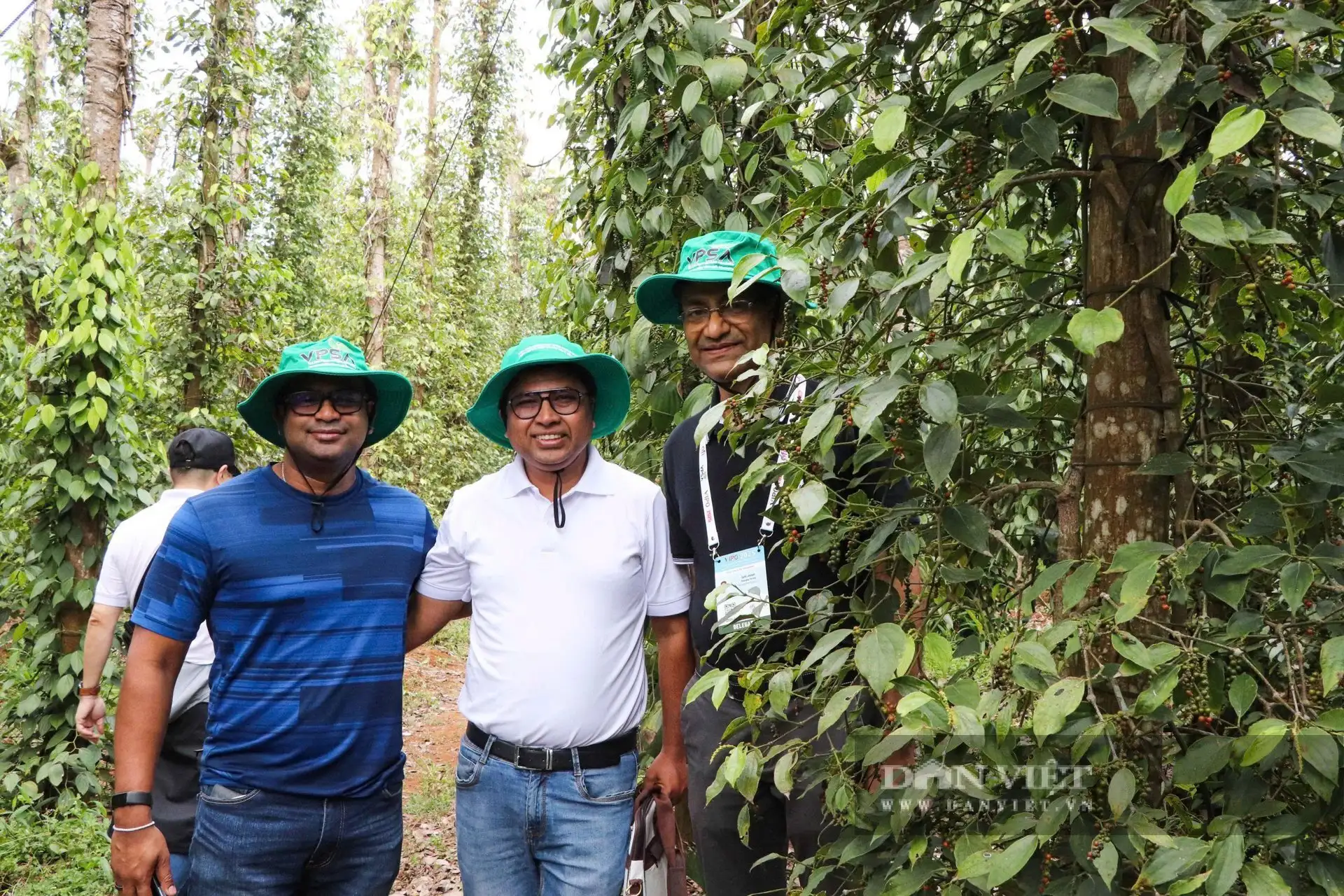Trồng cây này kiểu gì mà nông dân TPHCM “dứt khoát” lấy lại vị thế cho loại hạt gia vị thơm ngoài “chợ toàn cầu”?