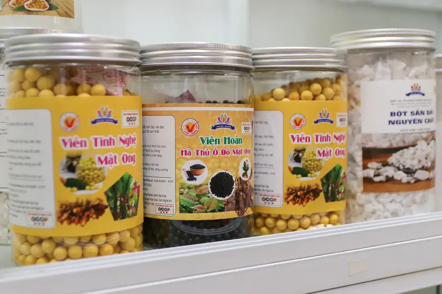 Trồng cây ví như &#8216;vàng trắng&#8217;, nông dân dưới chân núi Đại Huệ có của để dành