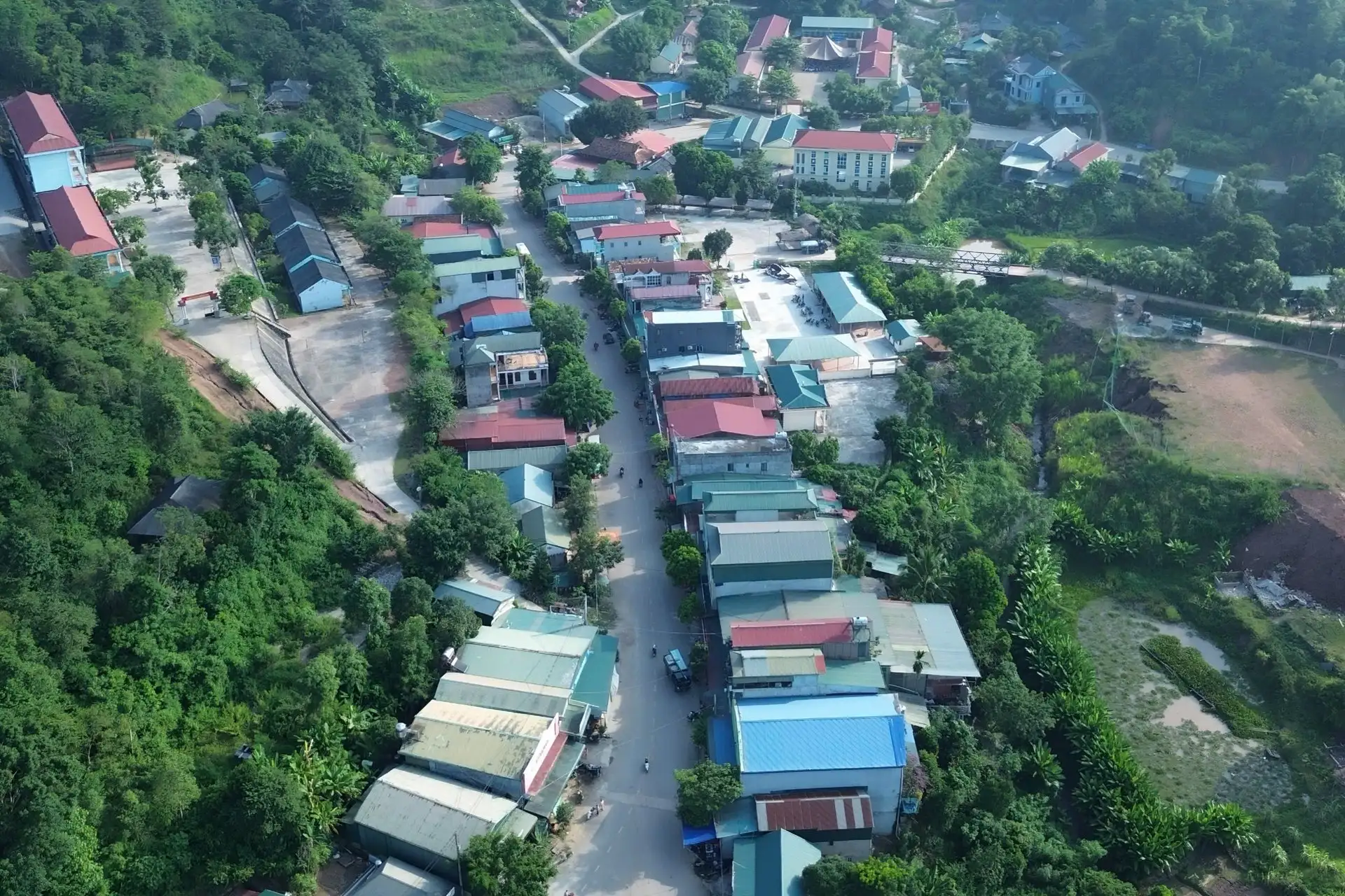 Trồng cỏ trên đồi để nuôi trâu, bò nhốt chuồng