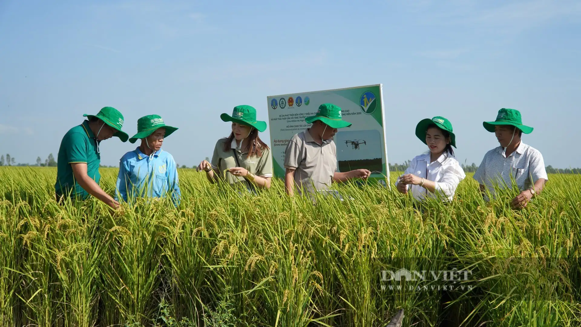 Trồng lúa nhiều nhất Việt Nam, tỉnh An Giang (sau sáp nhập) đang tiến đến một trung tâm nông nghiệp thông minh