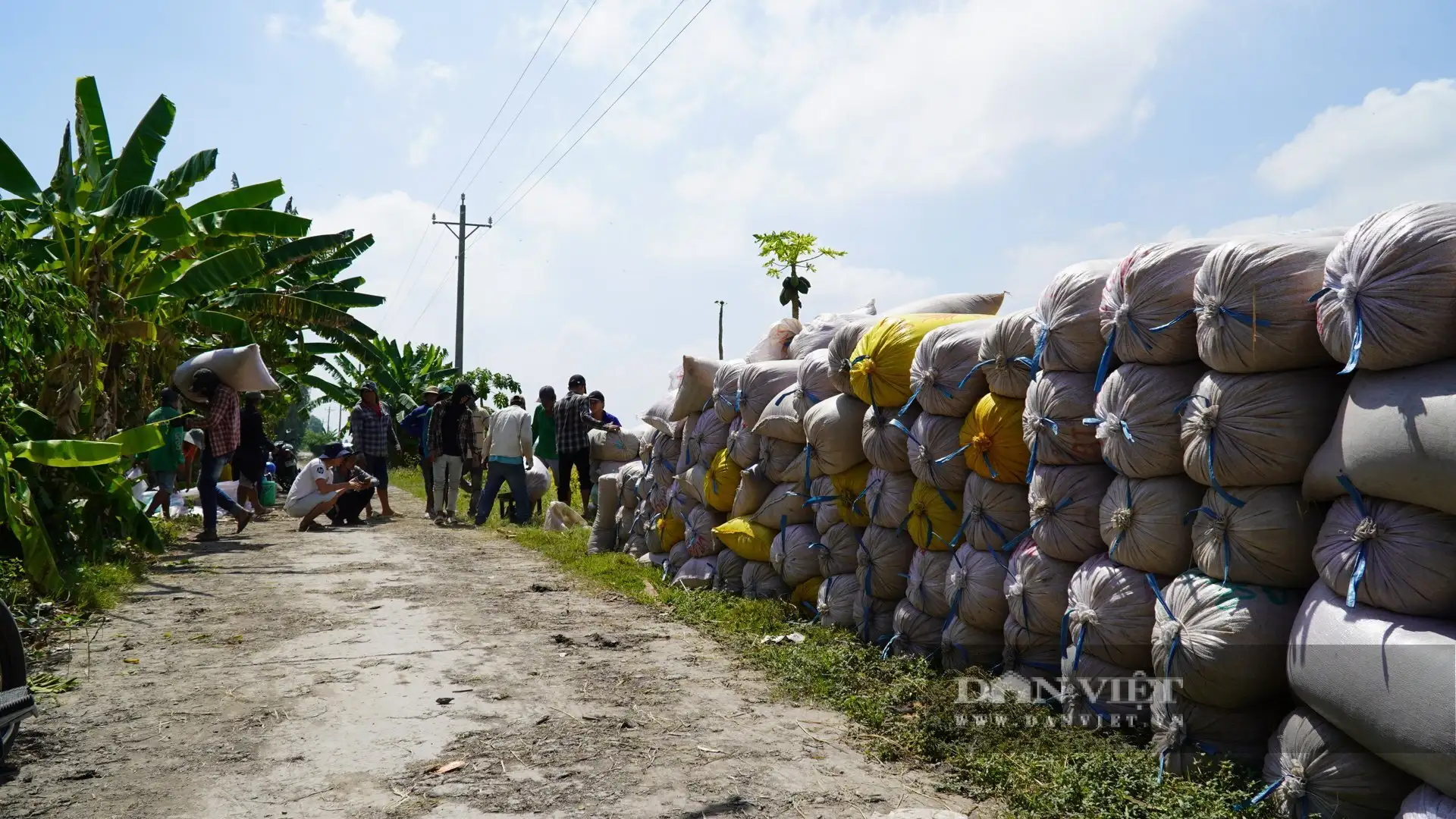 Trồng lúa nhiều nhất Việt Nam, tỉnh An Giang (sau sáp nhập) đang tiến đến một trung tâm nông nghiệp thông minh