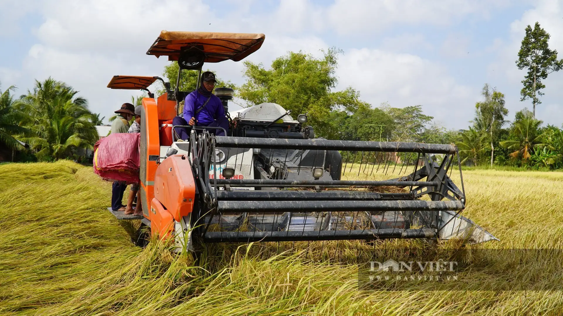 Trồng lúa nhiều nhất Việt Nam, tỉnh An Giang (sau sáp nhập) đang tiến đến một trung tâm nông nghiệp thông minh